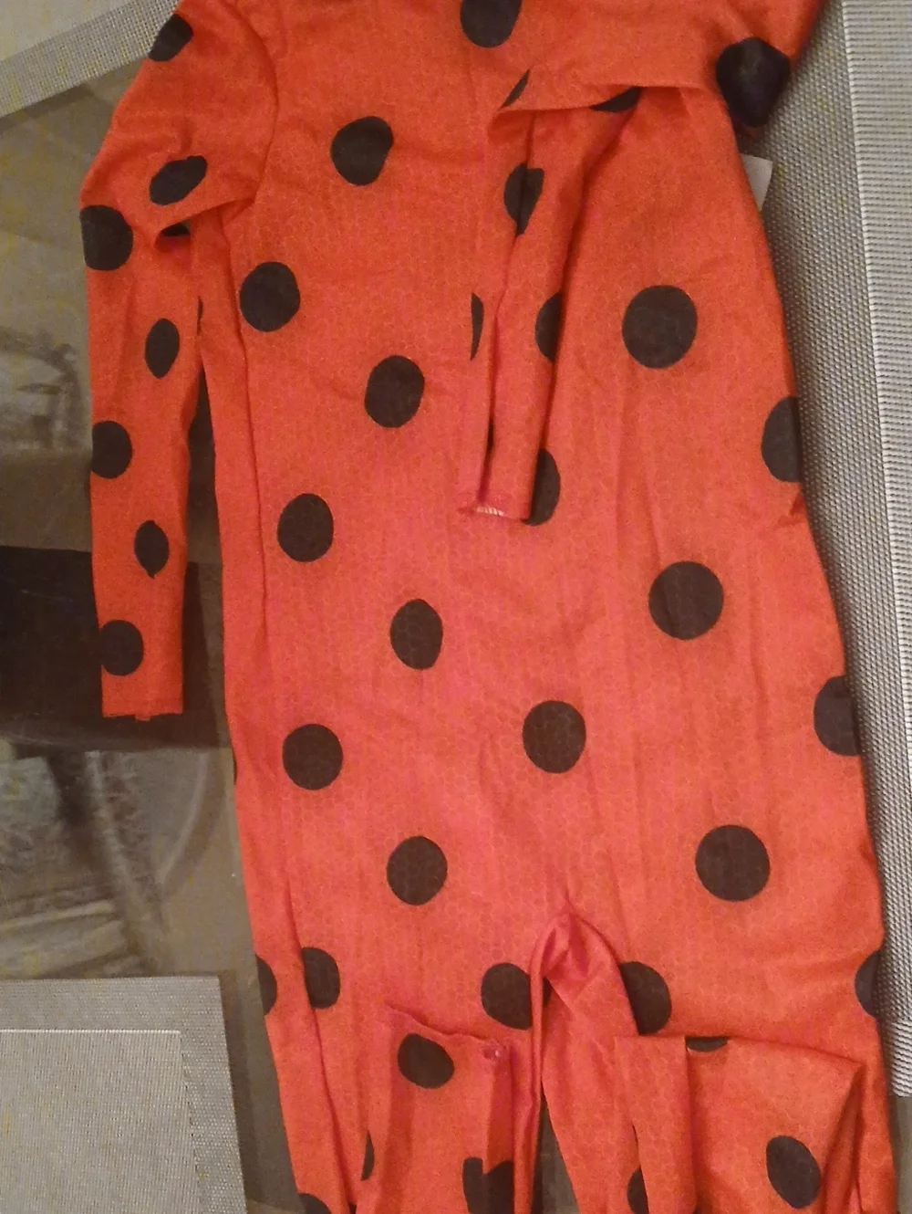 Ladybug Costume Jumpsuit And Accessories